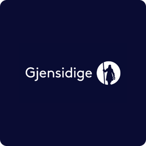 Gjensidige_adnami_case study