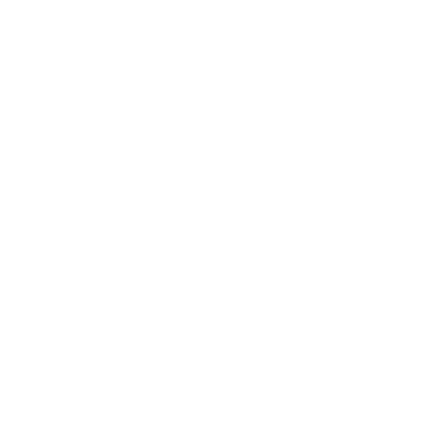 Publicis Groupe logo_Adnami customer