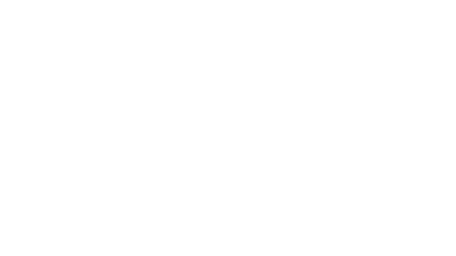 Renault logo_Adnami customer