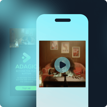 Adnami streamed video ads